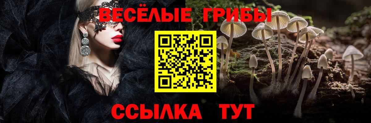 Карталы  Псилоцибиновые грибы прущие грибы  Вход с VPN  Галлюциногенные грибы MAGIC MUSHROOMS 